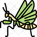پیش‌نمایش فایل mantises-5809312 از پک استوایی و حیوانات خانگی