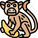 پیش‌نمایش فایل monkey-5809314 از پک استوایی و حیوانات خانگی