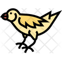 پیش‌نمایش فایل finch-5808776 از پک پرنده