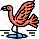 پیش‌نمایش فایل flamingo-5808777 از پک پرنده