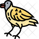 پیش‌نمایش فایل goldfinch-5808779 از پک پرنده