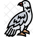 پیش‌نمایش فایل hawk-5808782 از پک پرنده