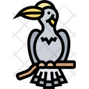 پیش‌نمایش فایل hornbill-5808784 از پک پرنده