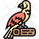 پیش‌نمایش فایل parrot-5808788 از پک پرنده