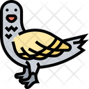 پیش‌نمایش فایل pigeon-5808791 از پک پرنده