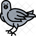 پیش‌نمایش فایل raven-5808793 از پک پرنده