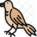 پیش‌نمایش فایل robin-5808794 از پک پرنده