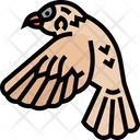 پیش‌نمایش فایل sparrow-5808796 از پک پرنده