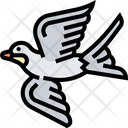پیش‌نمایش فایل swallow-5808798 از پک پرنده
