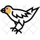 پیش‌نمایش فایل finch-5808743 از پک پرنده