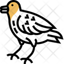 پیش‌نمایش فایل goldfinch-5808746 از پک پرنده