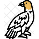 پیش‌نمایش فایل hawk-5808749 از پک پرنده