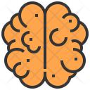 پیش‌نمایش فایل brain-530 از پک اندام‌های بدن