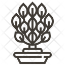 پیش‌نمایش فایل botanic-3 از پک آلمان