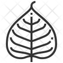 پیش‌نمایش فایل bodhi از پک برگ