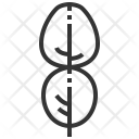 پیش‌نمایش فایل kaffir از پک برگ