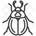 پیش‌نمایش فایل carrion از پک حشره - جلد 3