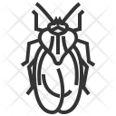 پیش‌نمایش فایل lace از پک حشره - جلد 3