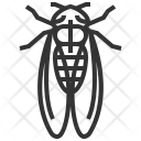 پیش‌نمایش فایل cicada از پک حشره - جلد 2