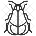 پیش‌نمایش فایل net-62 از پک حشرات