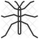پیش‌نمایش فایل walkingstick از پک حشرات