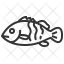 پیش‌نمایش فایل grouper از پک غذاهای دریایی