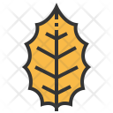 پیش‌نمایش فایل holly-1 از پک برگ