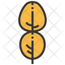 پیش‌نمایش فایل kaffir-1 از پک برگ