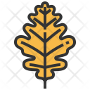 پیش‌نمایش فایل oak-4 از پک برگ
