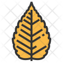 پیش‌نمایش فایل zelkova-1 از پک برگ