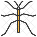 پیش‌نمایش فایل walkingstick-1 از پک حشرات