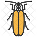 پیش‌نمایش فایل firefly-1 از پک حشره - جلد 2