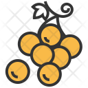 پیش‌نمایش فایل grape-24 از پک میوه