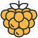 پیش‌نمایش فایل raspberry-17 از پک میوه