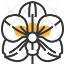 پیش‌نمایش فایل vanda-1 از پک گل