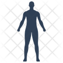 پیش‌نمایش فایل human-body-2047766 از پک پزشکی و مراقبت های بهداشتی