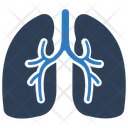 پیش‌نمایش فایل lungs-2047802 از پک پزشکی و مراقبت های بهداشتی