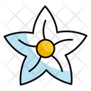 پیش‌نمایش فایل jasmine-12293657 از پک 14 اوت