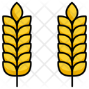پیش‌نمایش فایل wheat-12296690 از پک روز استقلال آبجو