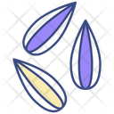 پیش‌نمایش فایل seeds-12669418 از پک تغذیه و غذا