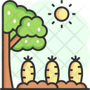پیش‌نمایش فایل carrot-farm-5660610 از پک کشاورزی