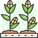 پیش‌نمایش فایل corn-farm-5660604 از پک کشاورزی