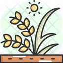 پیش‌نمایش فایل organic-rice-5660609 از پک کشاورزی
