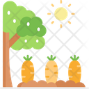 پیش‌نمایش فایل carrot-farm-5660690 از پک کشاورزی
