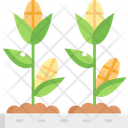 پیش‌نمایش فایل corn-farm-5660684 از پک کشاورزی