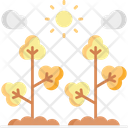 پیش‌نمایش فایل cotton-bud-5660696 از پک کشاورزی