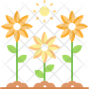 پیش‌نمایش فایل sun-flower-5660693 از پک کشاورزی