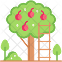 پیش‌نمایش فایل tree-5660692 از پک کشاورزی