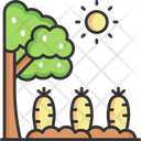 پیش‌نمایش فایل carrot-farm-5661690 از پک کشاورزی