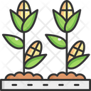 پیش‌نمایش فایل corn-farm-5661684 از پک کشاورزی